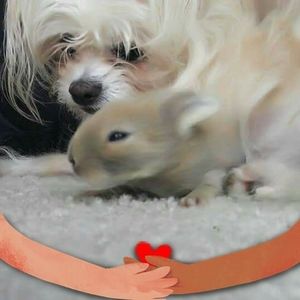 Meet your Posher, Tabitha